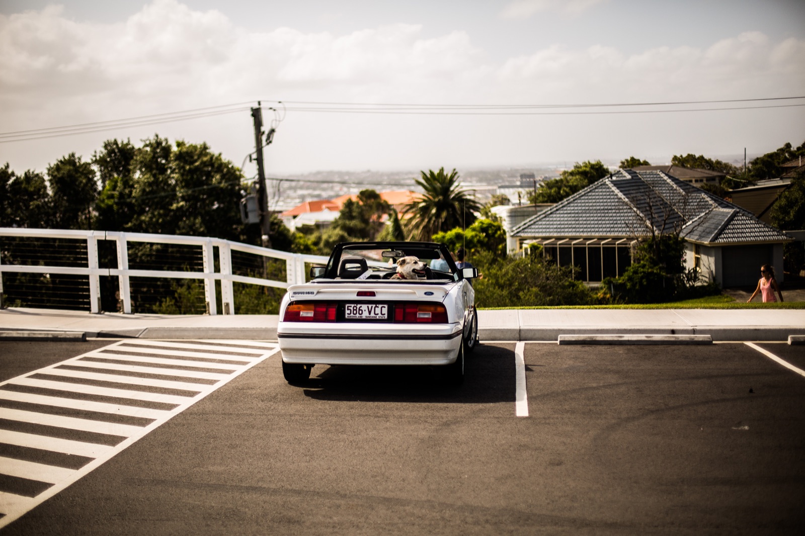 Convertible Sports Cars and the Top-Down Life