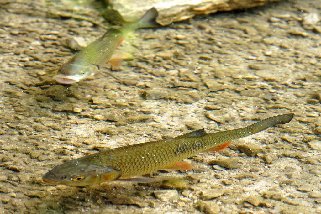 Fishing Gear Basics: How to Balance Your Tackle