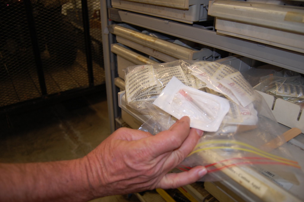 Pet Identification: Tags, Microchips, and Keeping Your Dog Safe