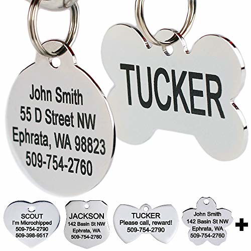 Pet Identification: Tags, Microchips, and Keeping Your Dog Safe