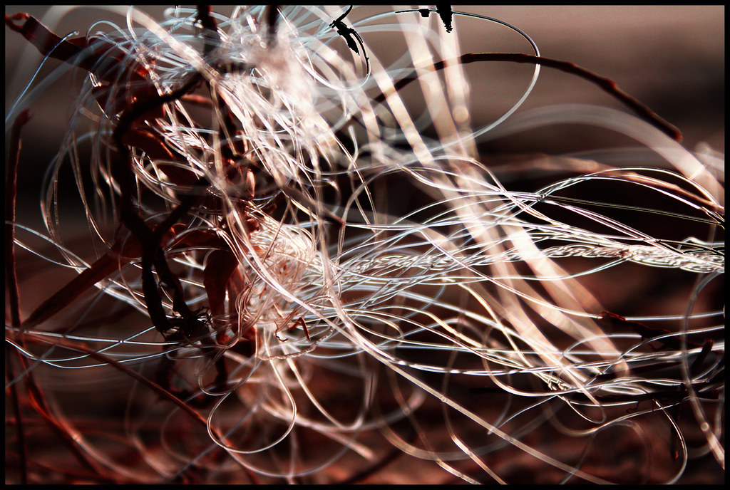 Salmon Fishing Tips: River Tactics and Line Setups